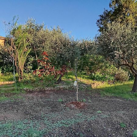 Studio 25M2 Avec Piscine Et Spa, Proche Iter Et Cadarache Apartment Valensole Exterior foto