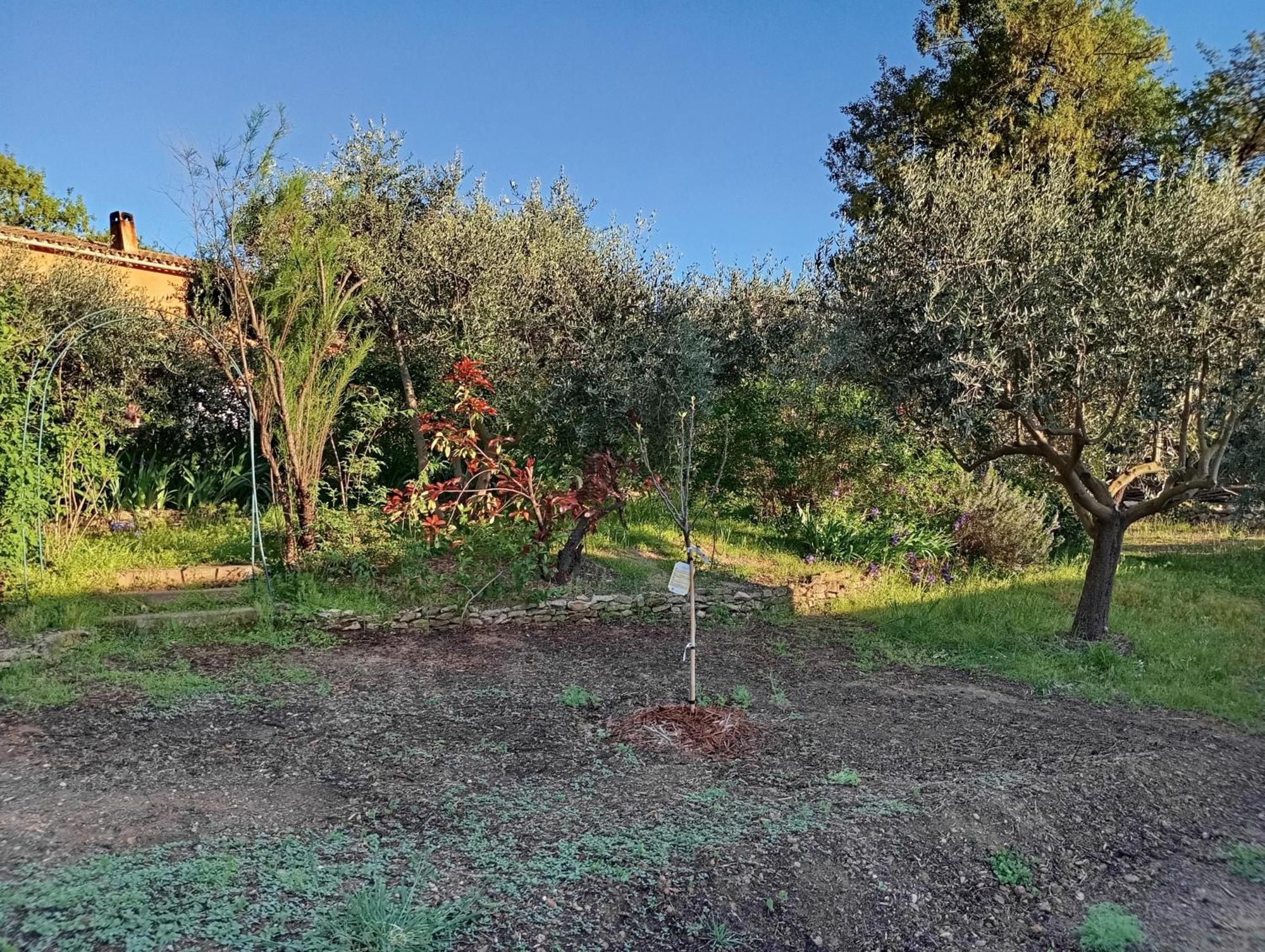 Studio 25M2 Avec Piscine Et Spa, Proche Iter Et Cadarache Apartment Valensole Exterior foto